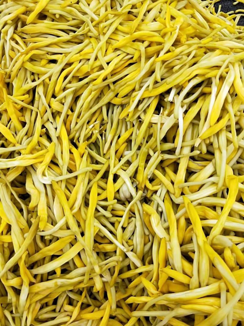 【清水黄花菜】