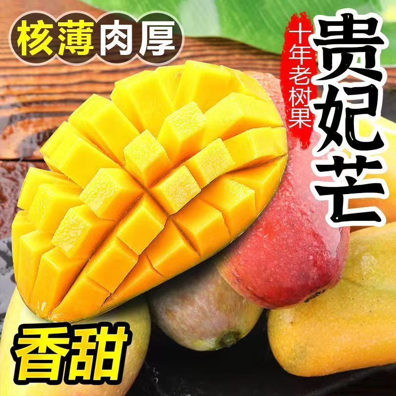 海南贵妃芒产地直供对接市场商超拼多抖音快手淘宝全国可发