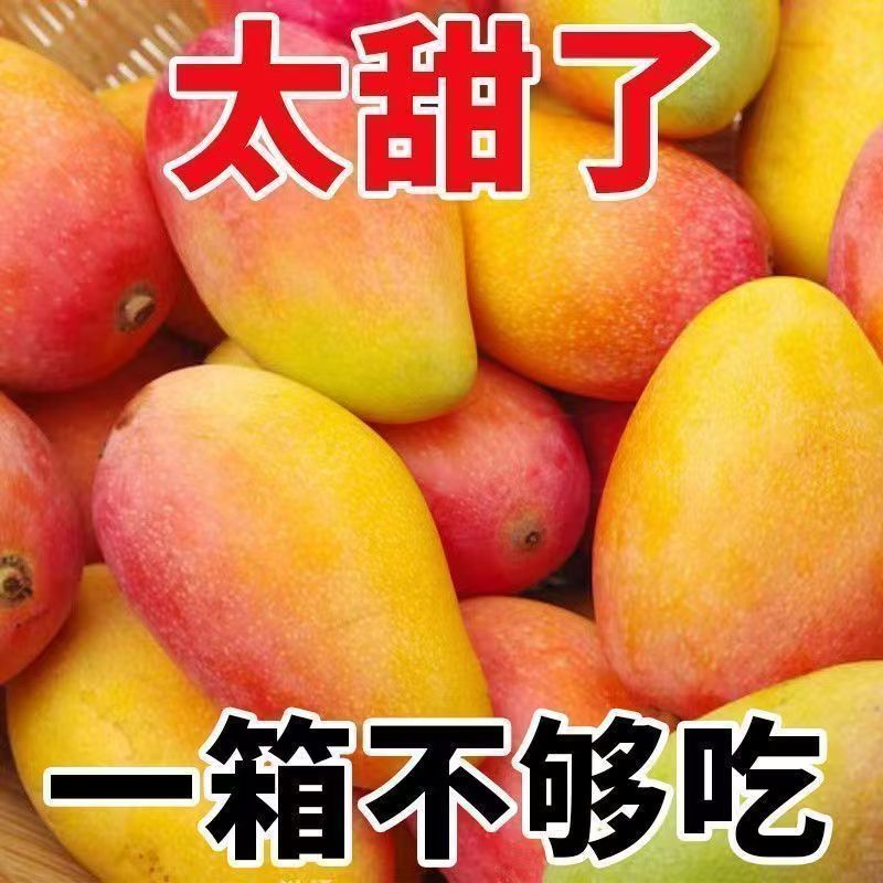 海南贵妃芒产地直供对接市场商超拼多抖音快手淘宝全国可发