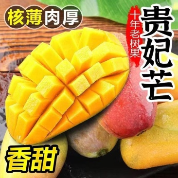 海南贵妃芒源头产地全国可发对接抖音快手淘宝京东拼多多
