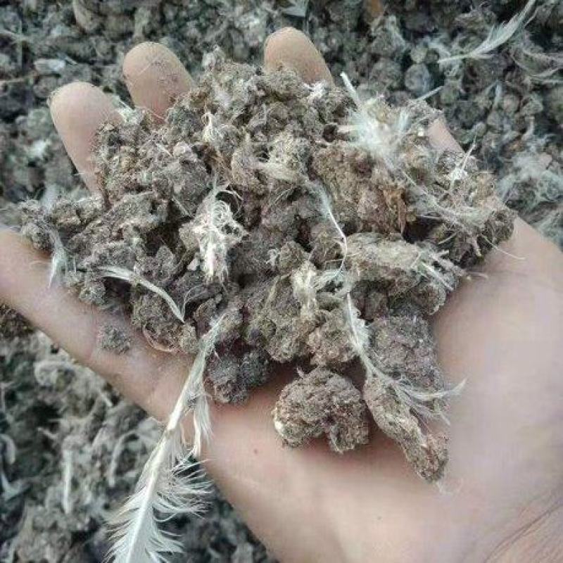优质有机肥干鸡粪鸽子粪各类有机肥量大从优