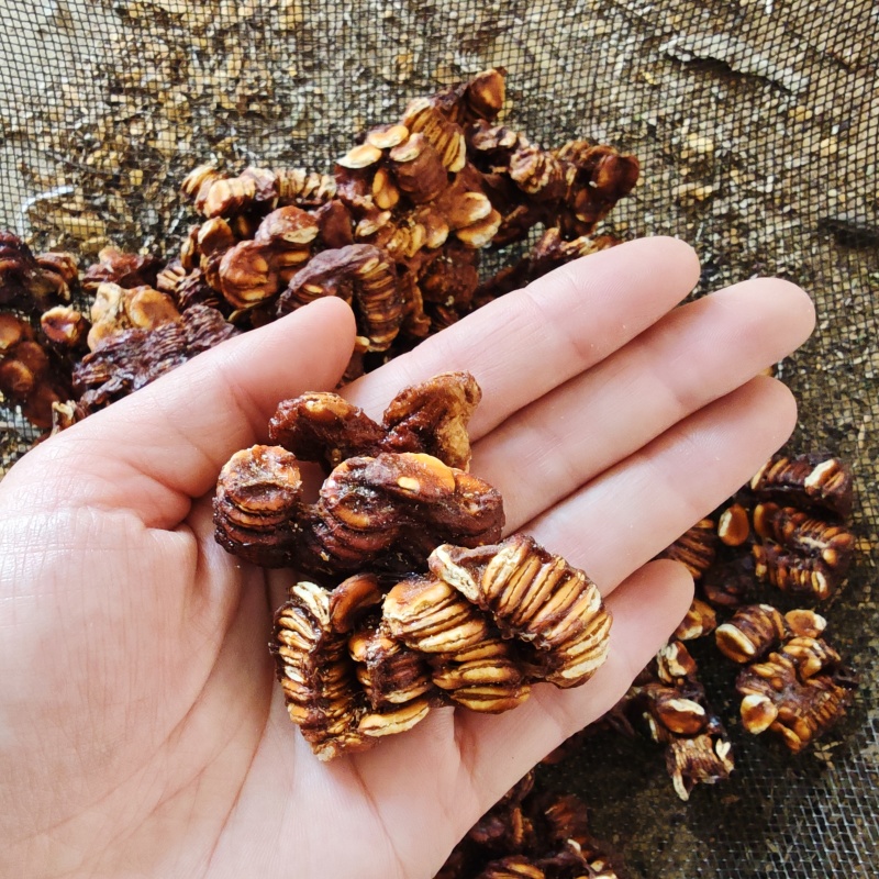 正宗罗汉果1公斤批发广西桂林黄金罗汉果芯茶泡茶干果