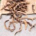 骨碎补1公斤正品中药材野生云南骨碎补