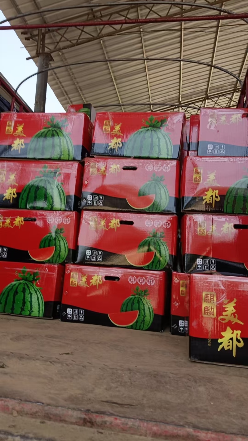 美都西瓜/有籽美都/通许西瓜/产地货源/全国供应批发
