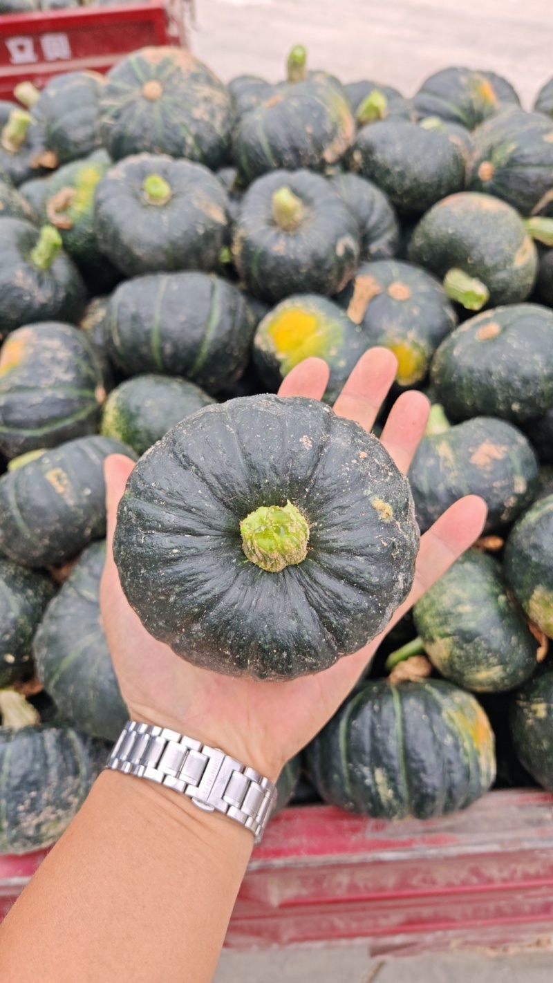 精品贝贝南瓜大吨位供应贝贝南瓜电商货市场货超市直供