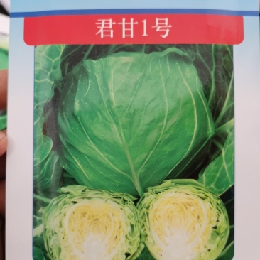 华耐春秋绿春夏秋优质甘蓝种籽君甘一号