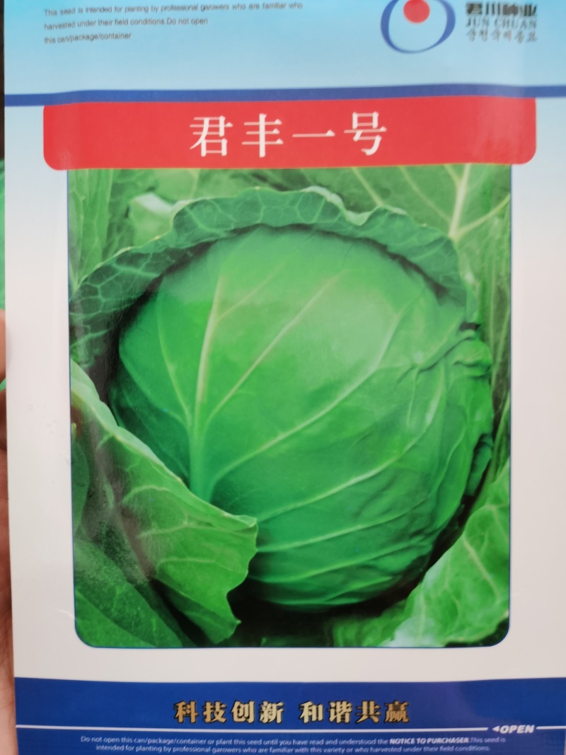 华耐春秋绿春夏秋优质甘蓝种籽君甘一号