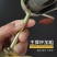 手摇干玉米粒脱离器小型手动玉米家用脱粒包谷机器手动剥