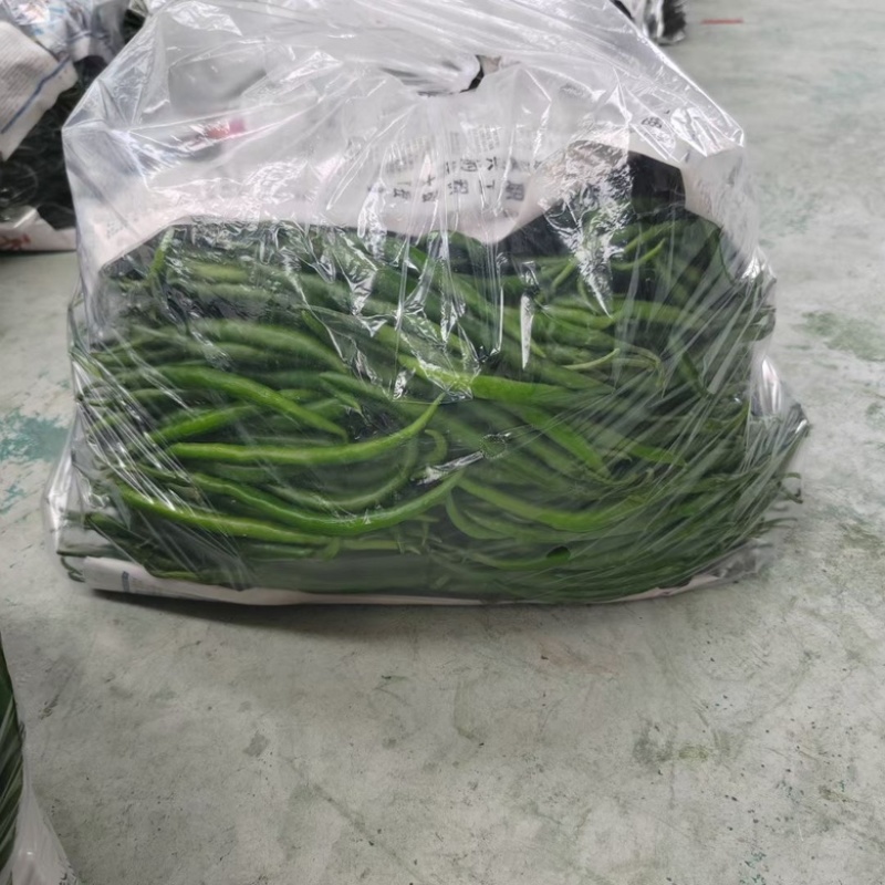 河南精品线椒大量供货，价格便宜千亩基地