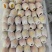 【推荐】精品小红杏/吊干杏量大从优质量保证产地供应
