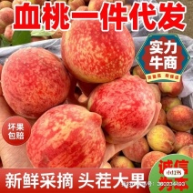 一件代发对接电商血桃朱砂红桃子现货速发