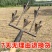 新款翻地松土五齿耙子锄草锄头尖耘锄锄头三齿锄全钢耙锄