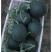 济薯26精品货大量供应，山东邹城市，产地直供，