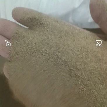 福建黄粉虫虫粪虫沙