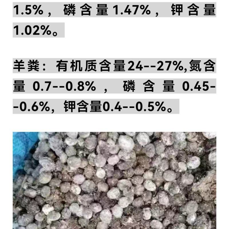大量出售兔粪