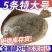 7-9两每条多宝鱼