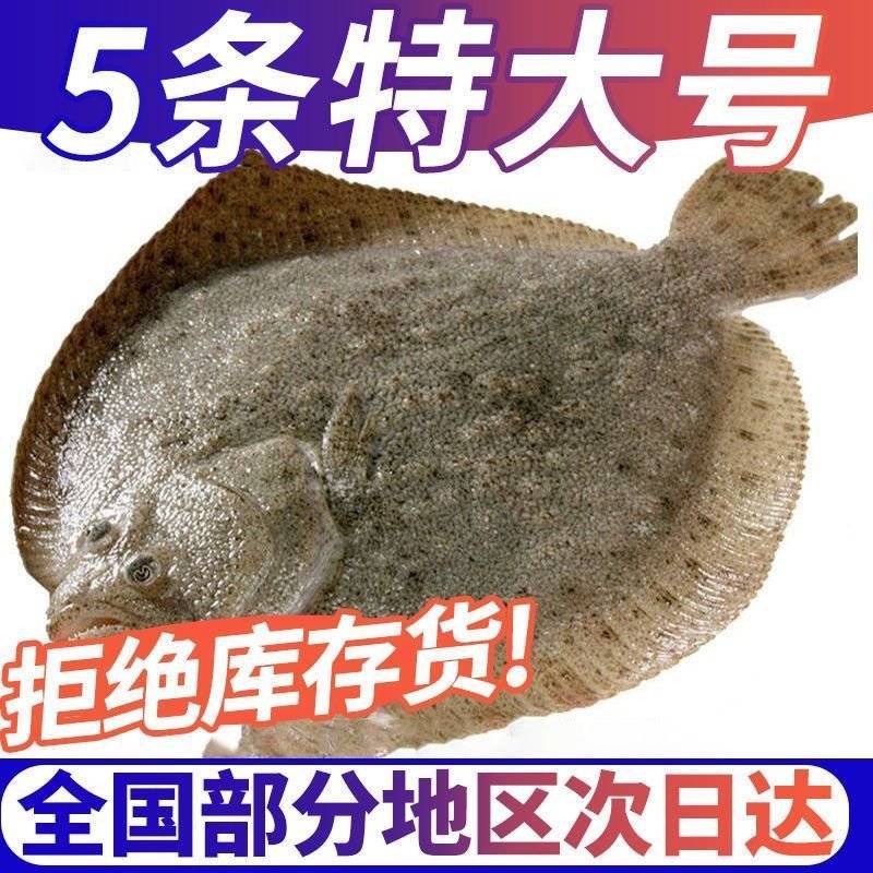 7-9两每条多宝鱼