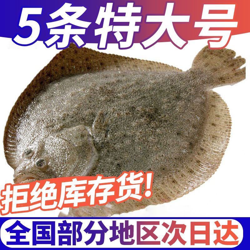 7-9两每条多宝鱼