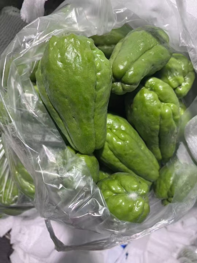 云南佛手瓜大量供应精品上市量大从优一手货源