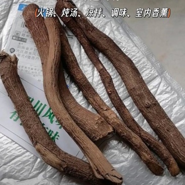 云南木姜子根