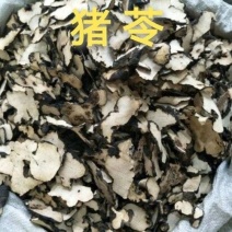 猪苓中药材猪苓片好统货散装批发