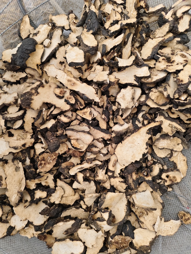 猪苓中药材猪苓片好统货散装批发