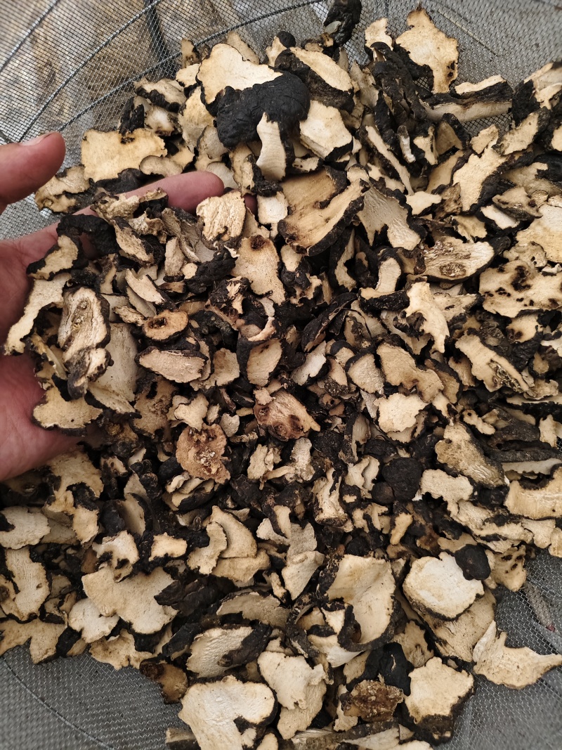 猪苓中药材猪苓片好统货散装批发