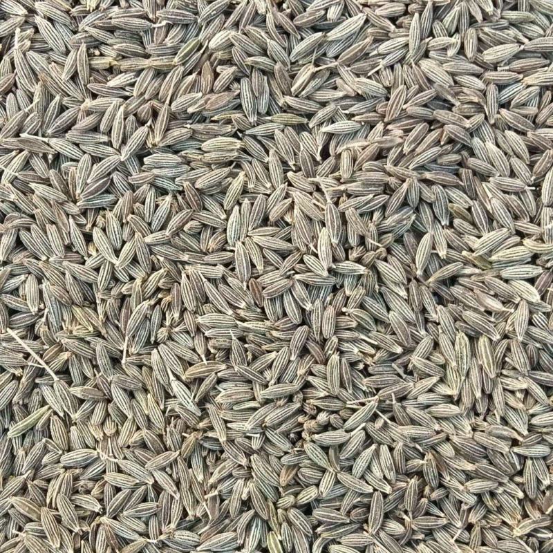 新疆孜然量大从优欢迎咨询