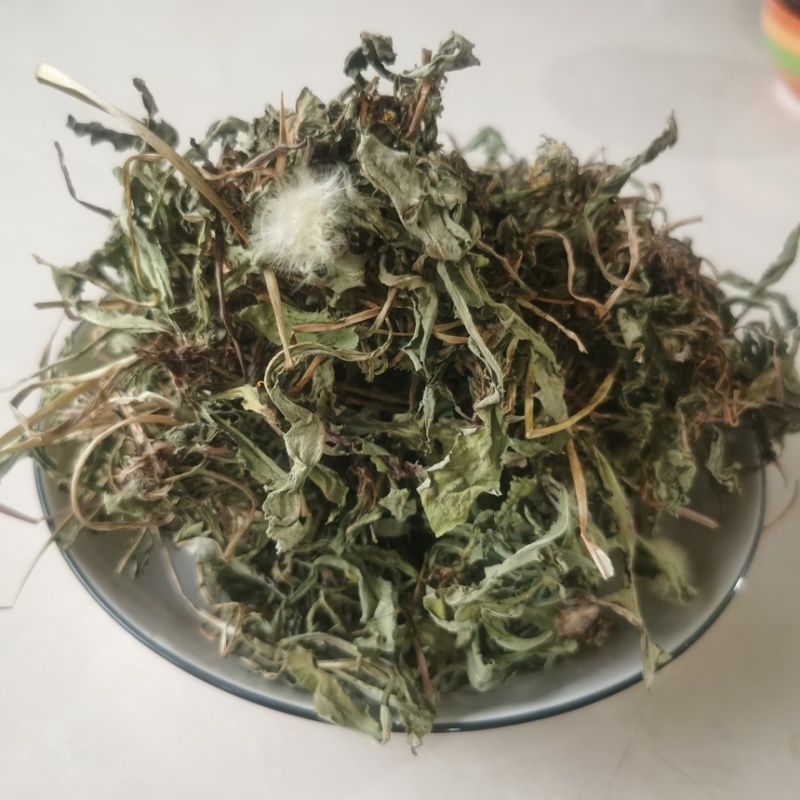 中药材蒲公英野生公英干净量大从优