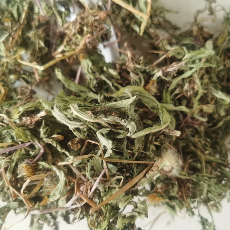 中药材蒲公英野生公英干净量大从优
