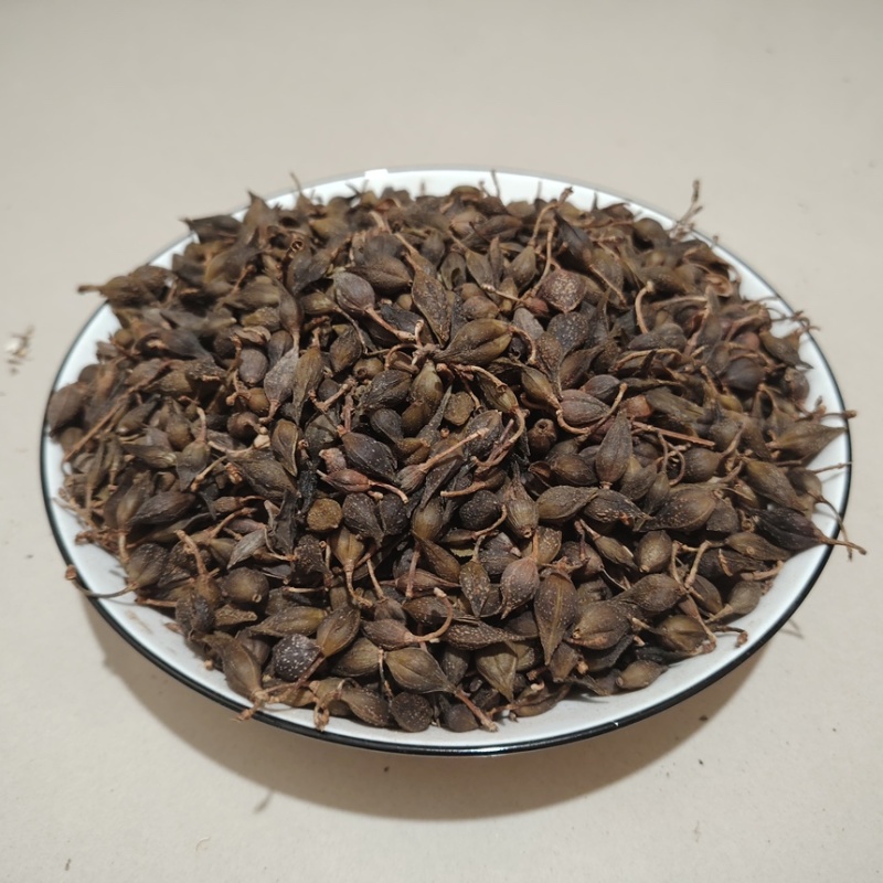 中药材连翘量大从优
