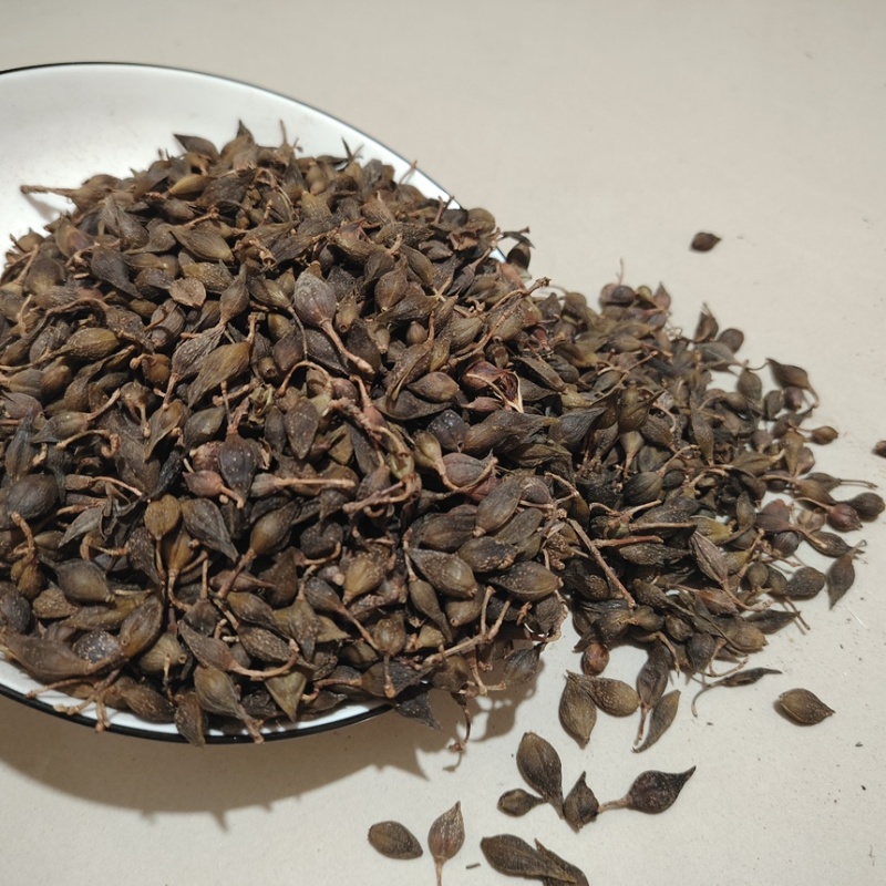 中药材连翘量大从优
