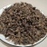 中药材连翘量大从优