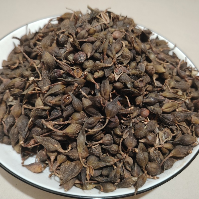 中药材连翘量大从优