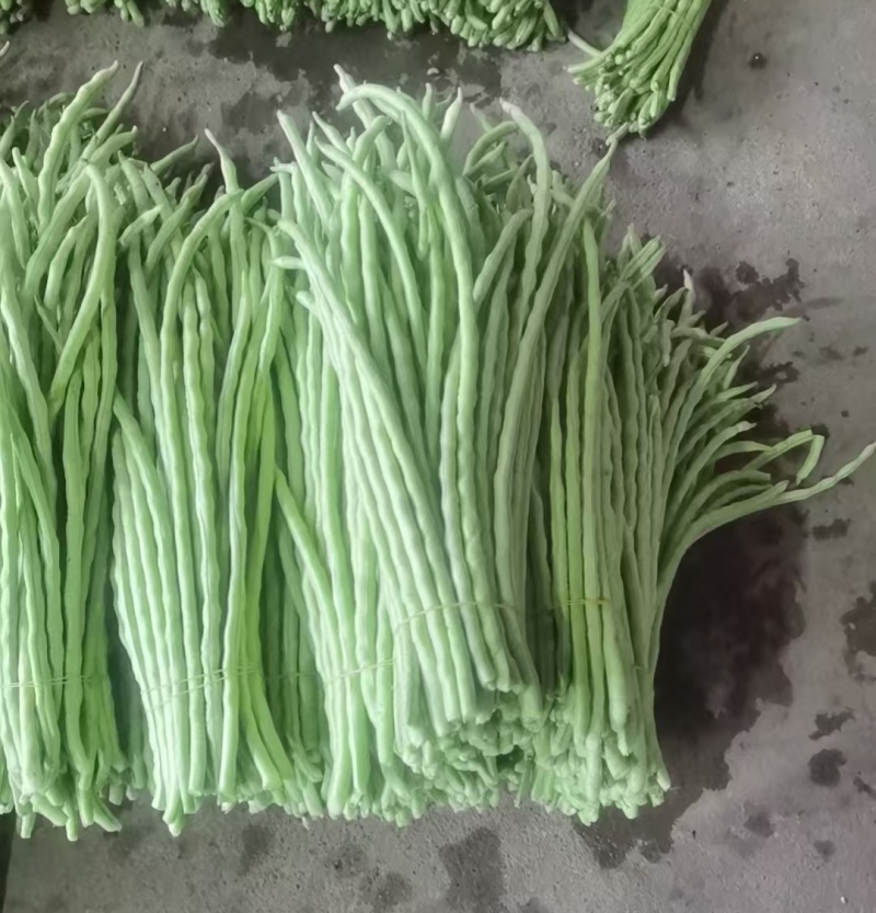 精选《甜豆角&青条豆角&豇豆角》广西豆角/产地代发全国