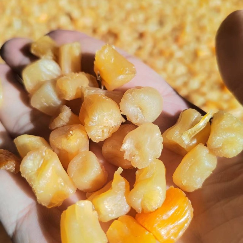 瑶柱批发湛江特产