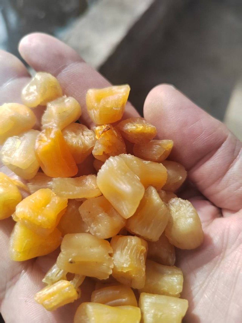 瑶柱批发湛江特产