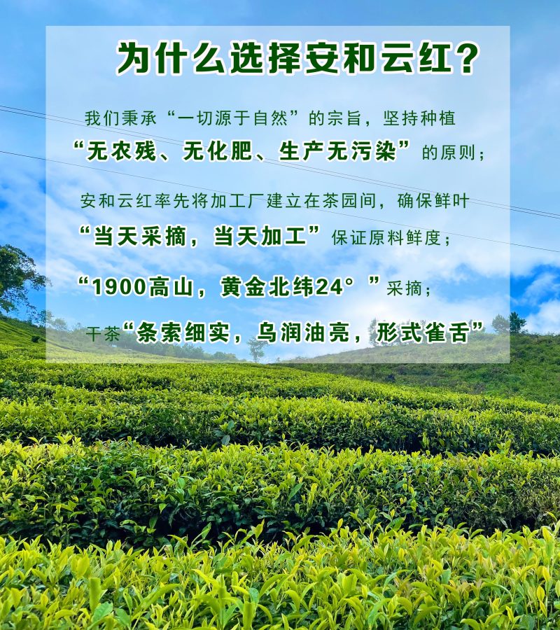云南工夫红茶产地直发货源充足全国代发欢迎致电