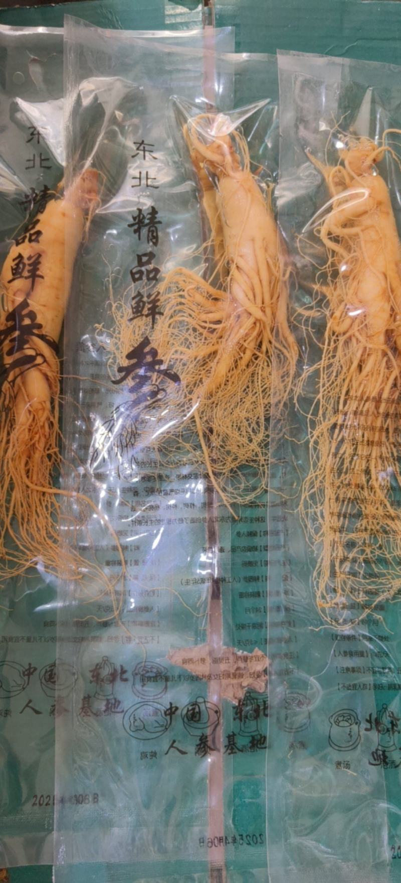 产地直销东北鲜人参