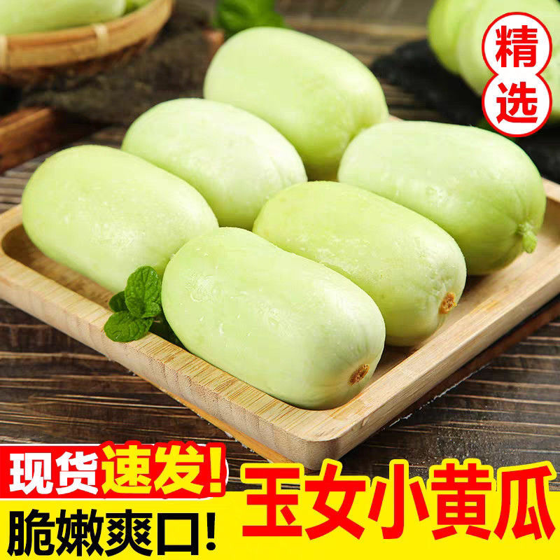 玉女水果黄瓜新鲜生吃当季现摘金童玉女小黄瓜黄瓜应季水果