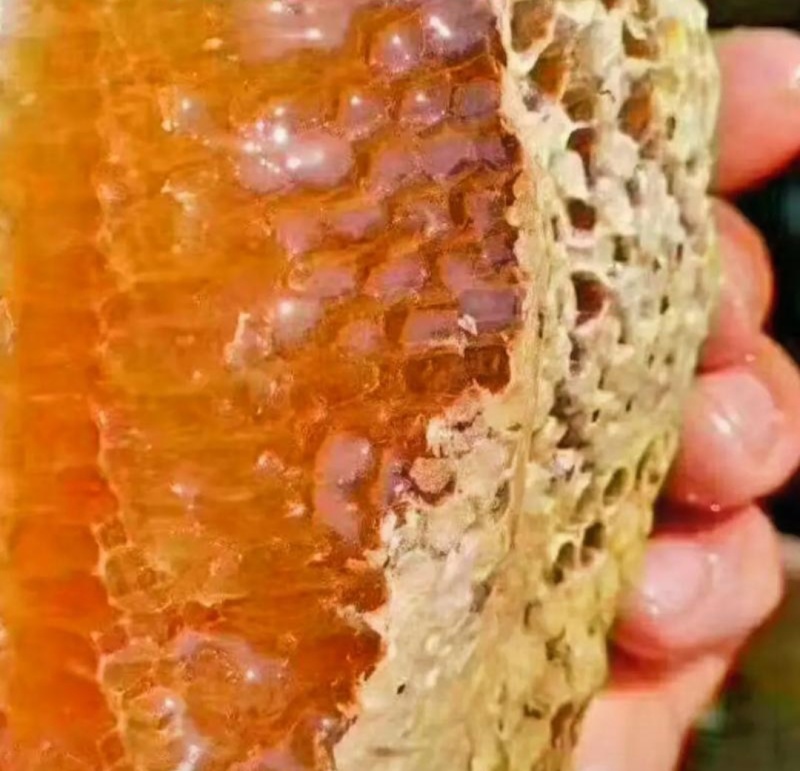 中华土蜂蜜