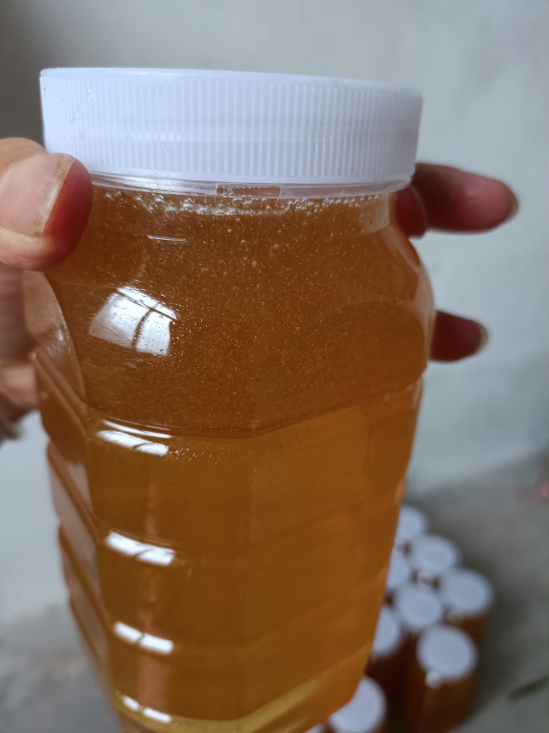 中华土蜂蜜