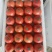 万亩西红柿大量上市产地直发。