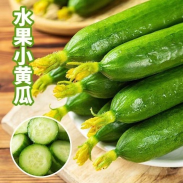 黄瓜新鲜水果黄瓜生吃无刺小黄瓜基地直发