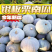【推荐】陕西银栗南瓜货源充足对接加工厂欢迎致电咨询