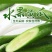 黄瓜新鲜水果黄瓜生吃无刺小黄瓜基地直发