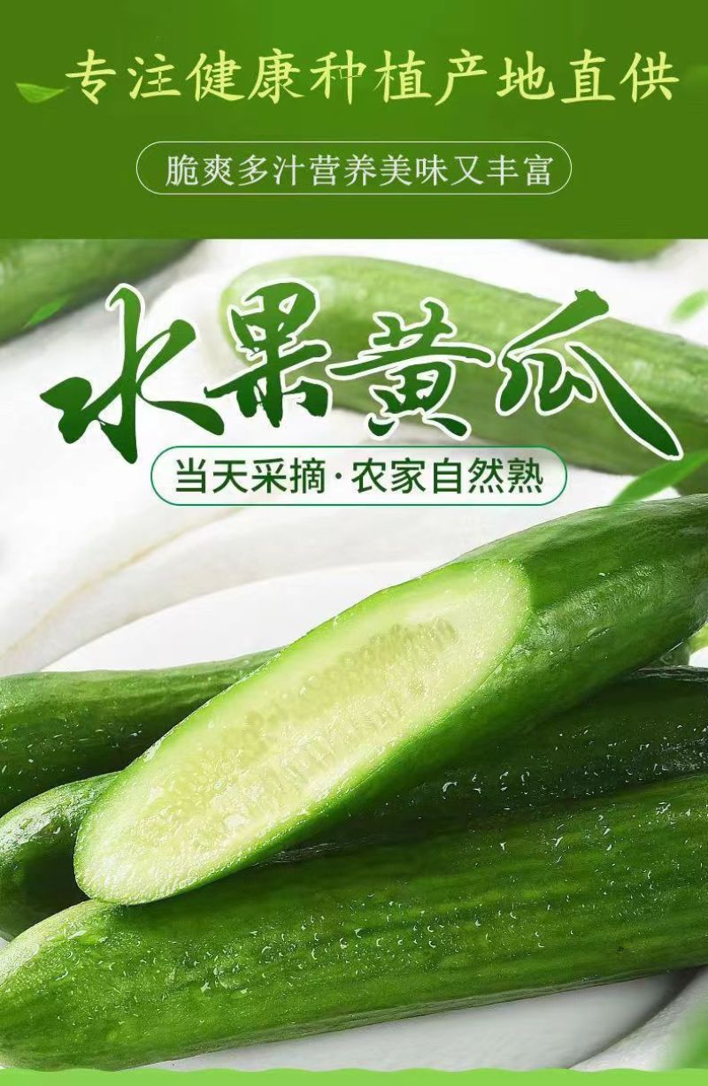 黄瓜新鲜水果黄瓜生吃无刺小黄瓜基地直发
