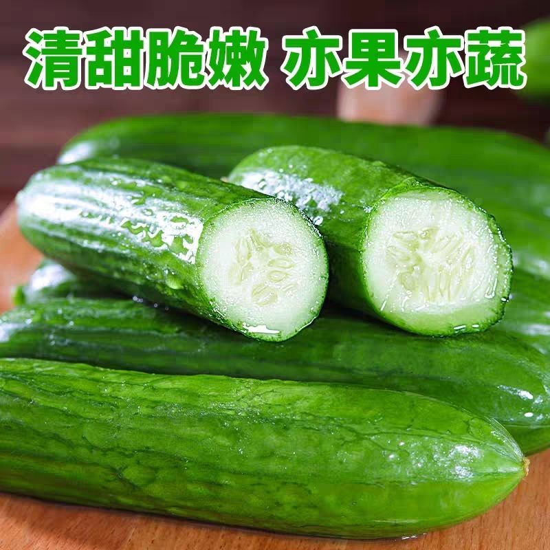 黄瓜新鲜水果黄瓜生吃无刺小黄瓜基地直发