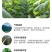 黄瓜新鲜水果黄瓜生吃无刺小黄瓜基地直发