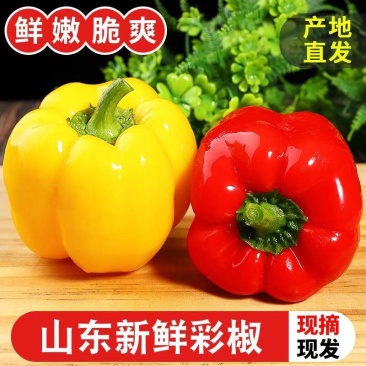 彩椒红黄彩椒圆椒甜椒五彩椒太空椒柿子椒红椒黄椒灯笼椒